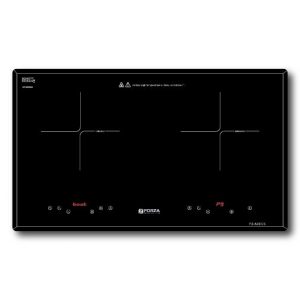 Bếp đôi 2 từ FZ-86ECS